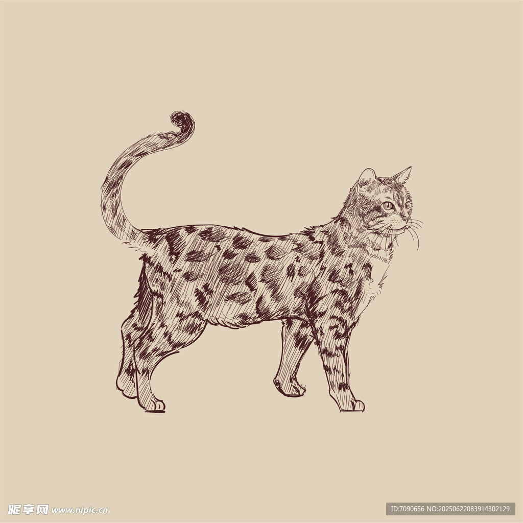 手绘花纹猫咪图案