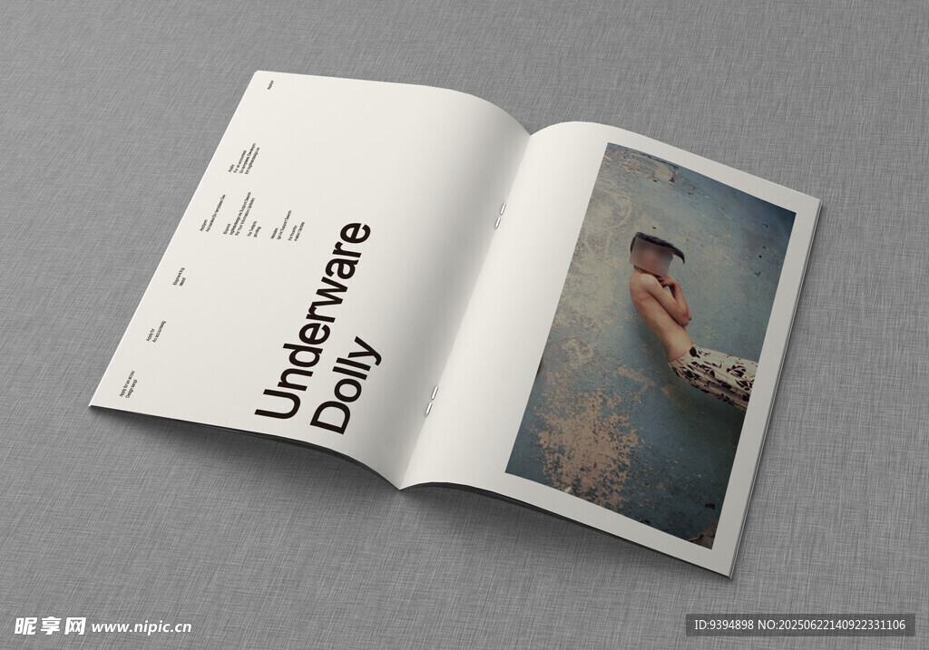 画册排版设计样机贴图素材