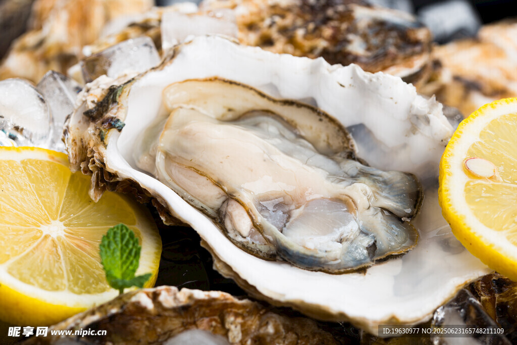 新鲜生蚝配柠檬片