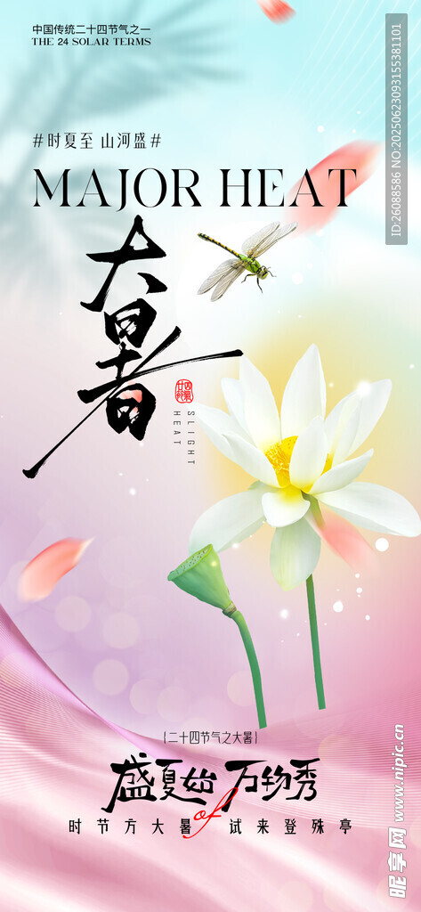 小暑大暑荷花荷叶节气海报