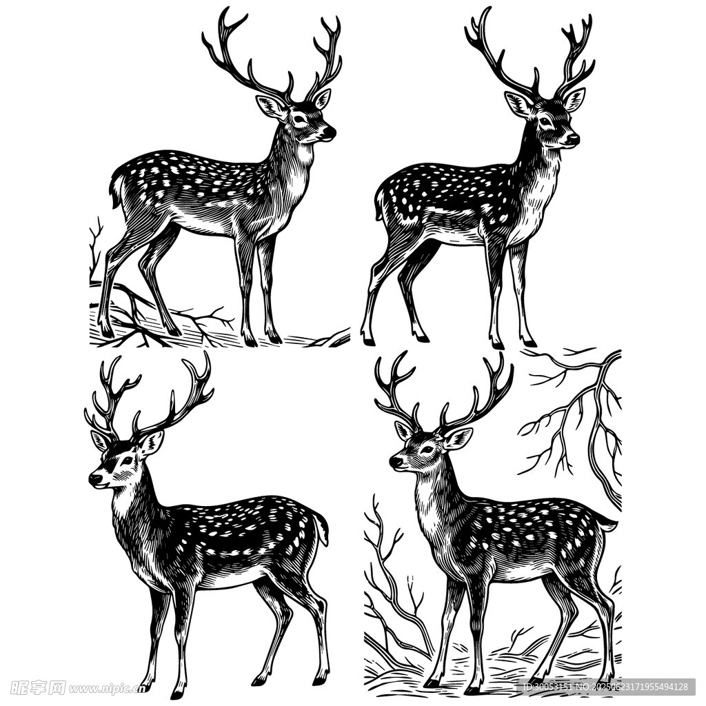 四只鹿的黑白手绘图案