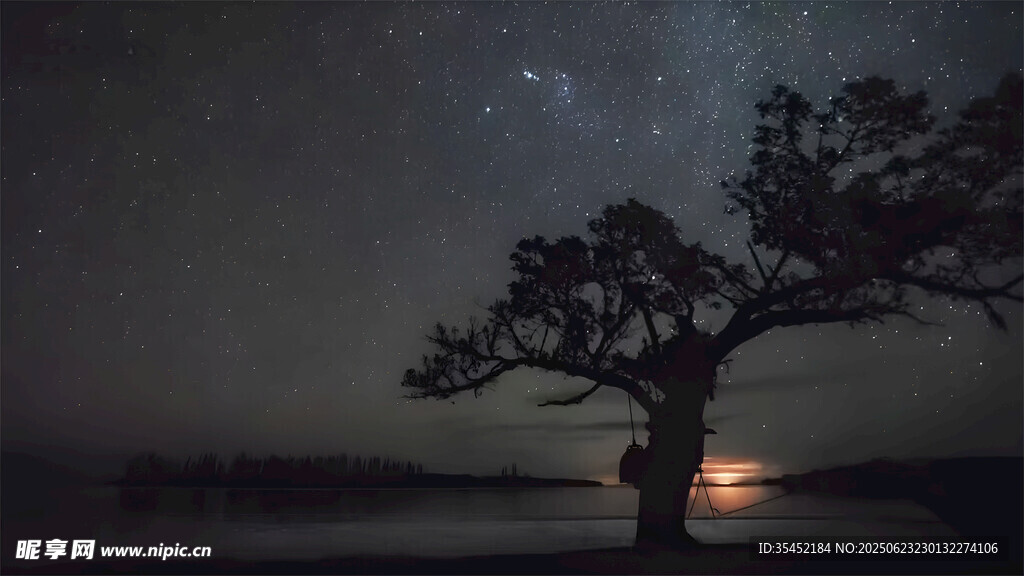 星空孤树