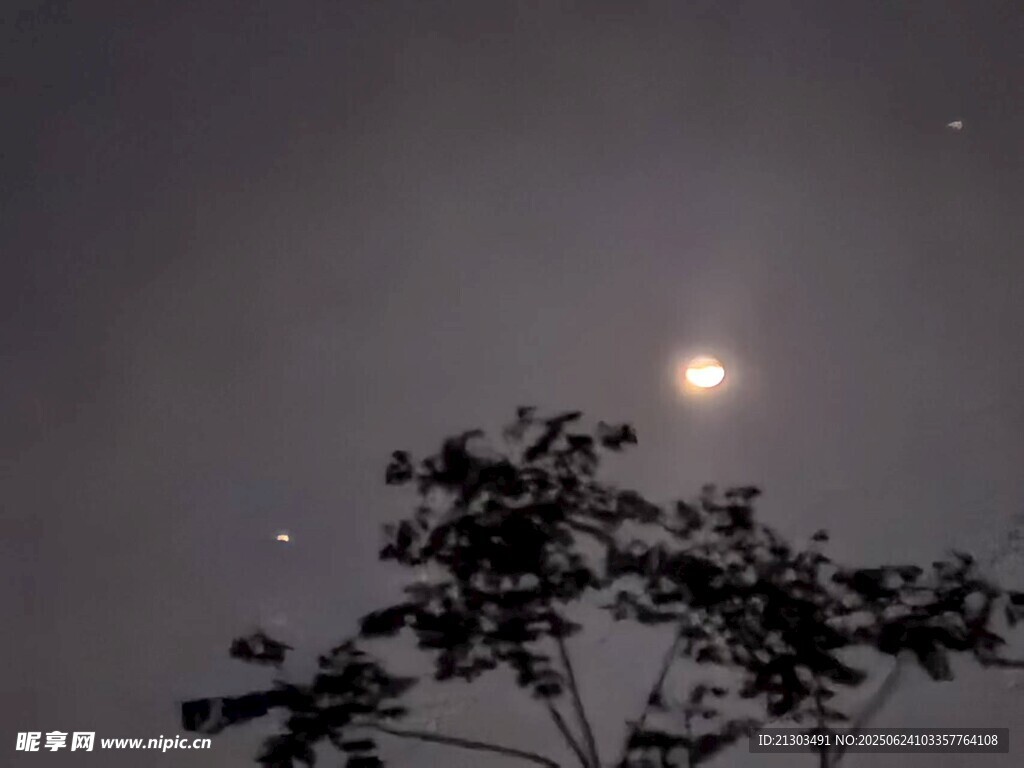 夜空下的树与明亮天体