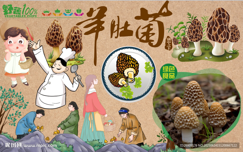 羊肚菌