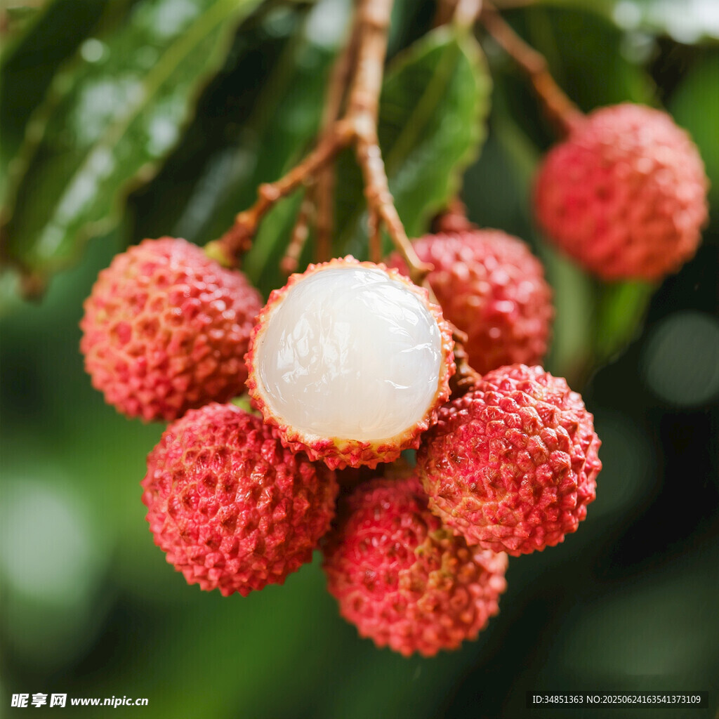 新鲜剥开的饱满荔枝