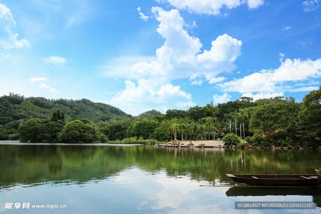 深圳仙湖 小平手植榕树