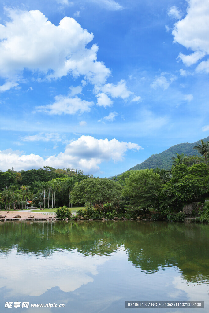 深圳仙湖 小平手植榕树