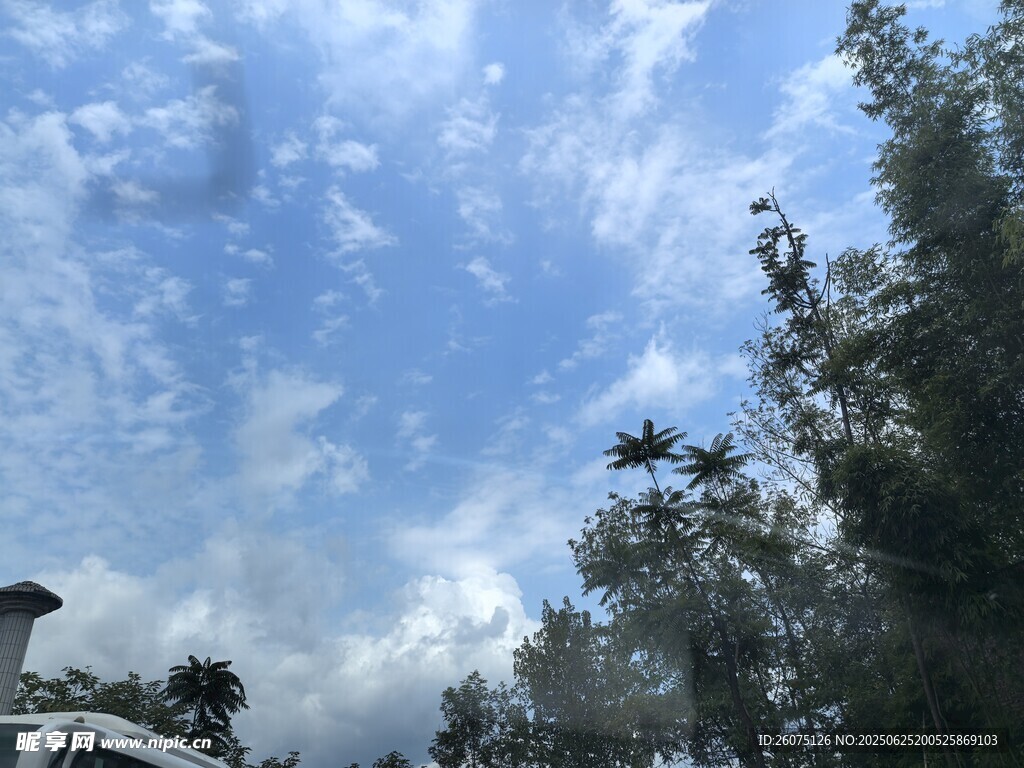 蓝天白云下的绿树景致
