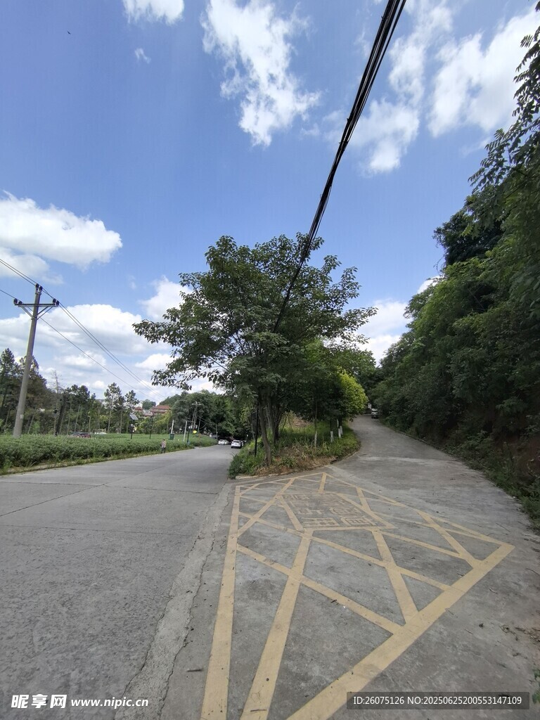 乡村公路岔路口