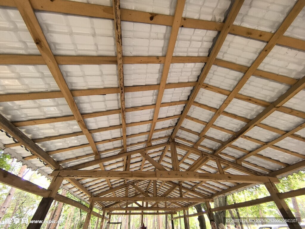 木质结构的室内屋顶景观