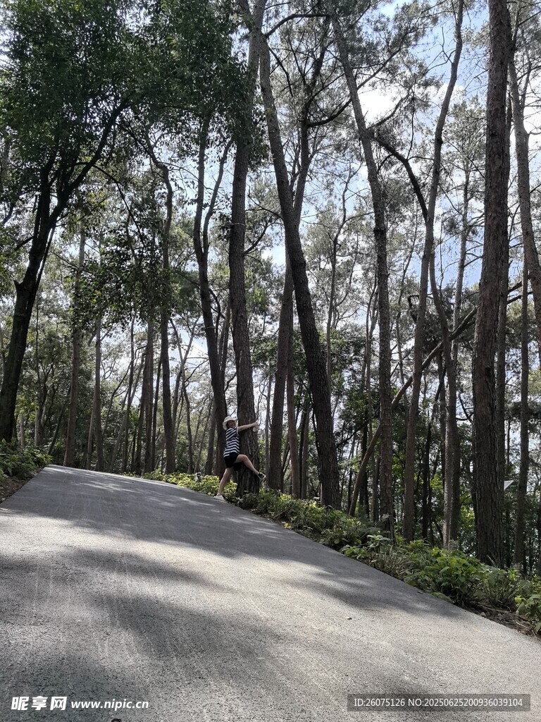 林间骑行路