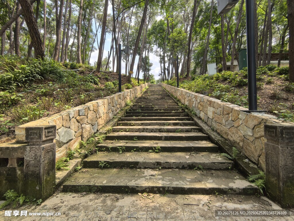 林间石阶步道