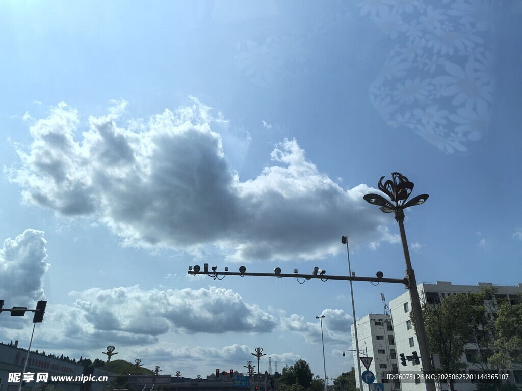 蓝天白云下的交通信号灯