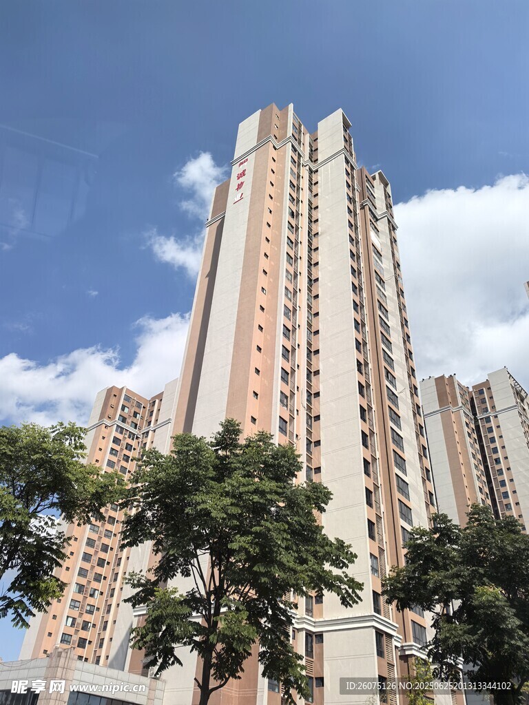 高层住宅楼景观