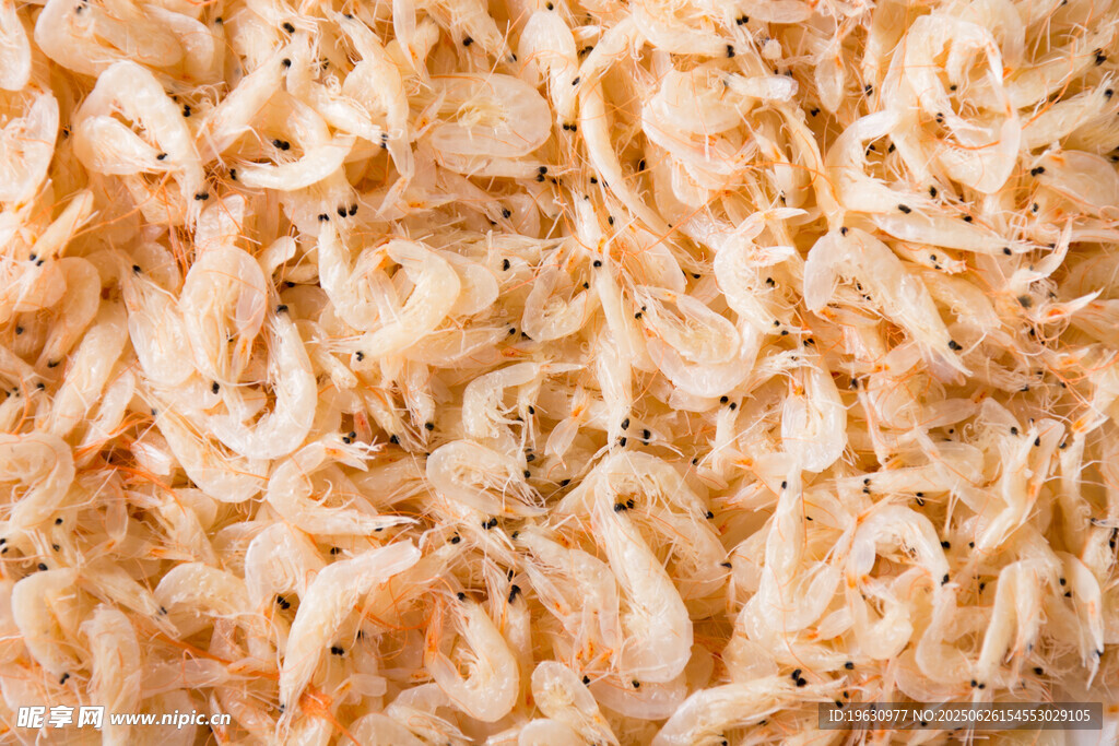 美味虾米干货特写