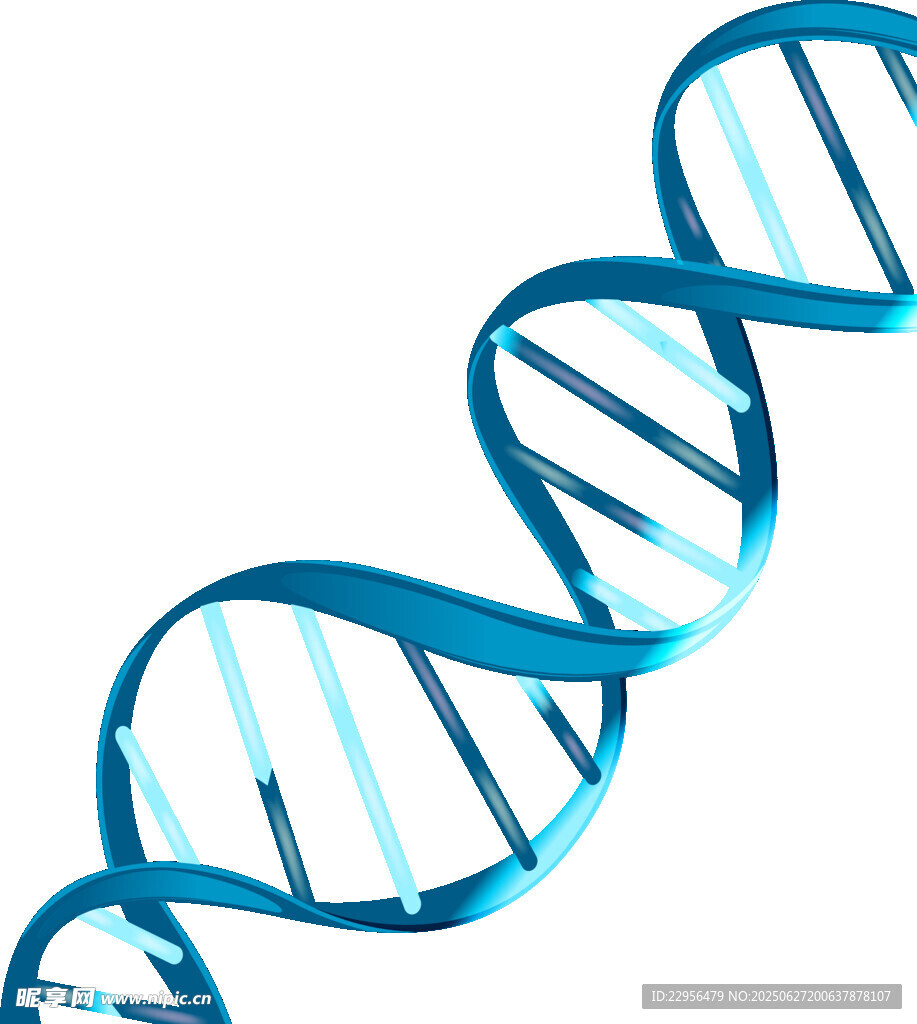 蓝色双螺旋DNA结构