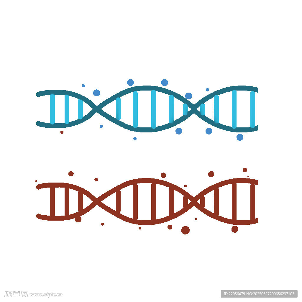 双螺旋DNA结构图示