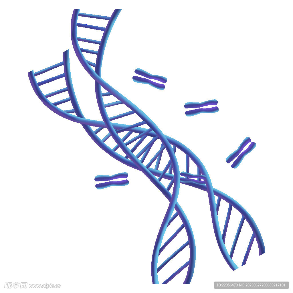 双螺旋DNA结构示意图