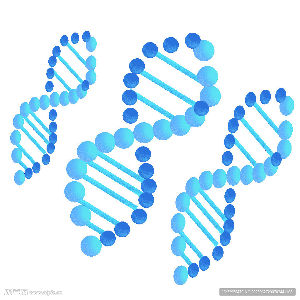 蓝色DNA双螺旋结构图示