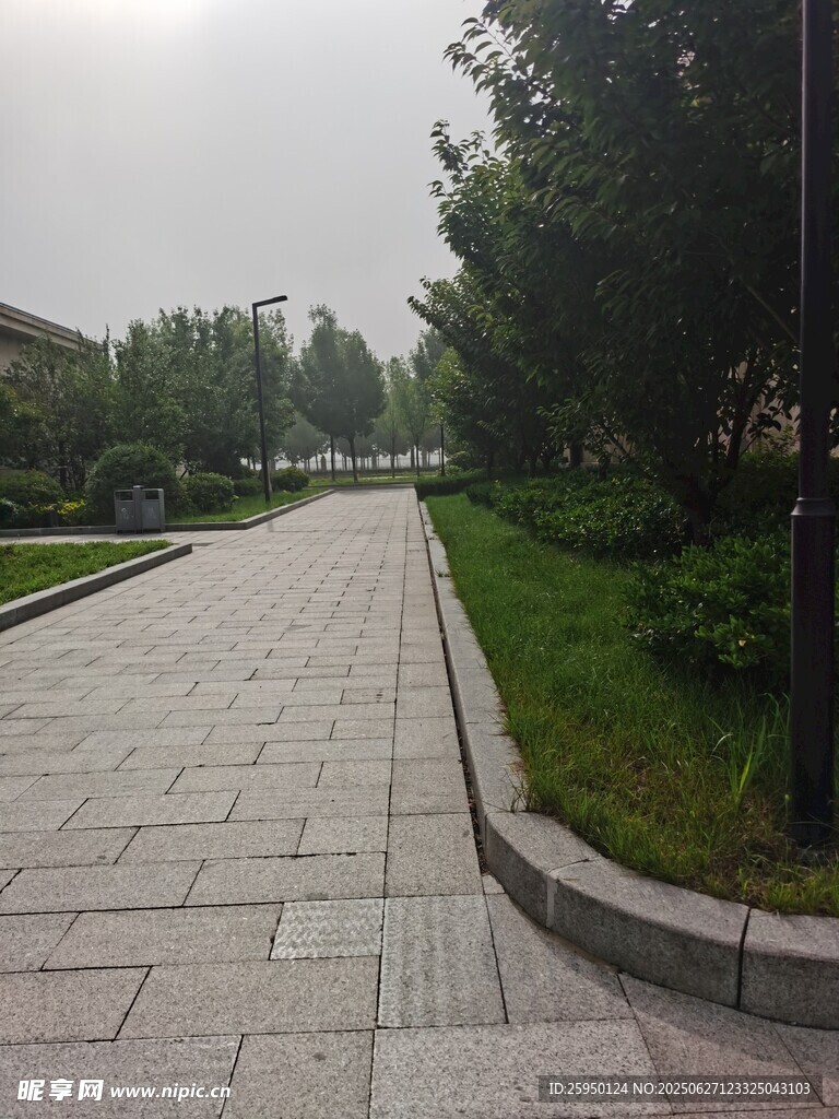 宽阔林荫步道绿意盎然