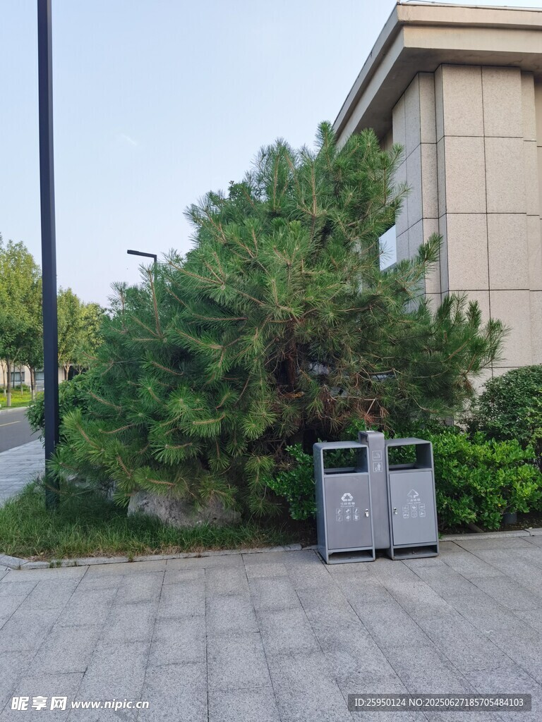 楼旁绿植与户外设备
