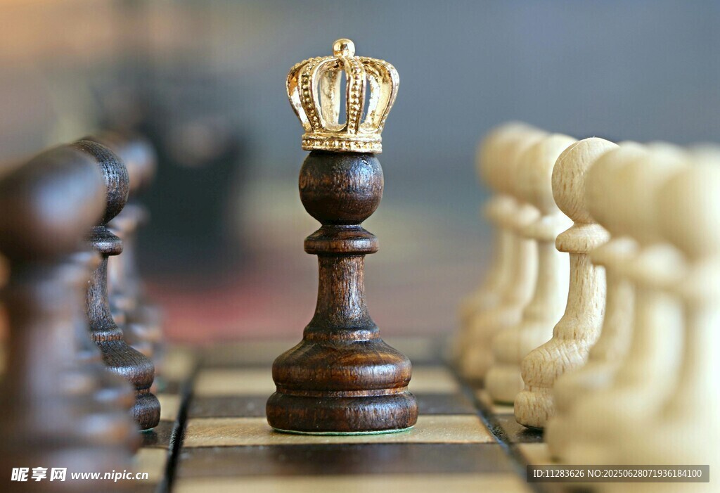 棋盘上的王者棋子
