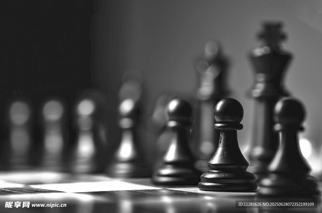 黑白棋盘上的国际象棋