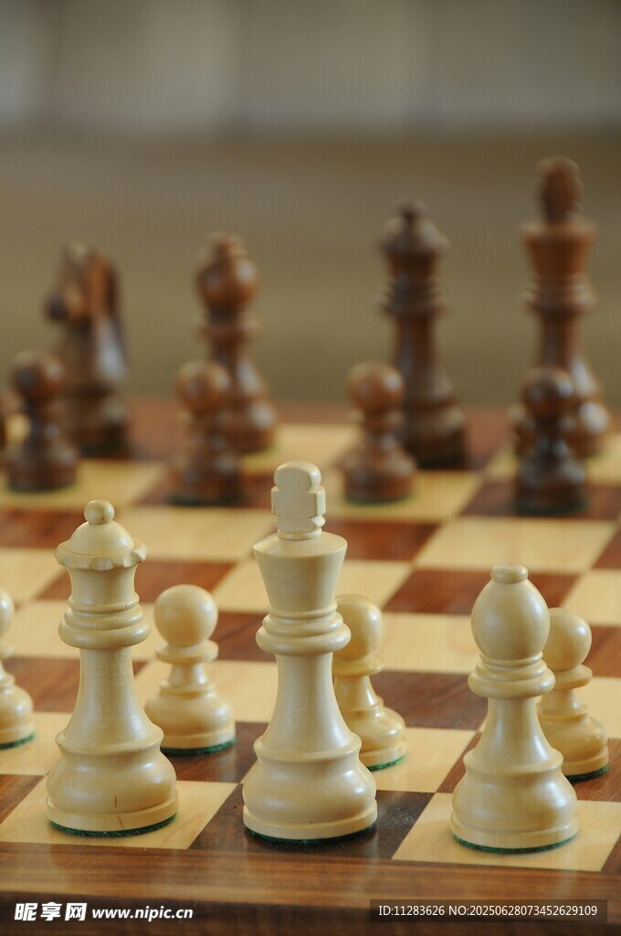 棋盘上的国际象棋棋子