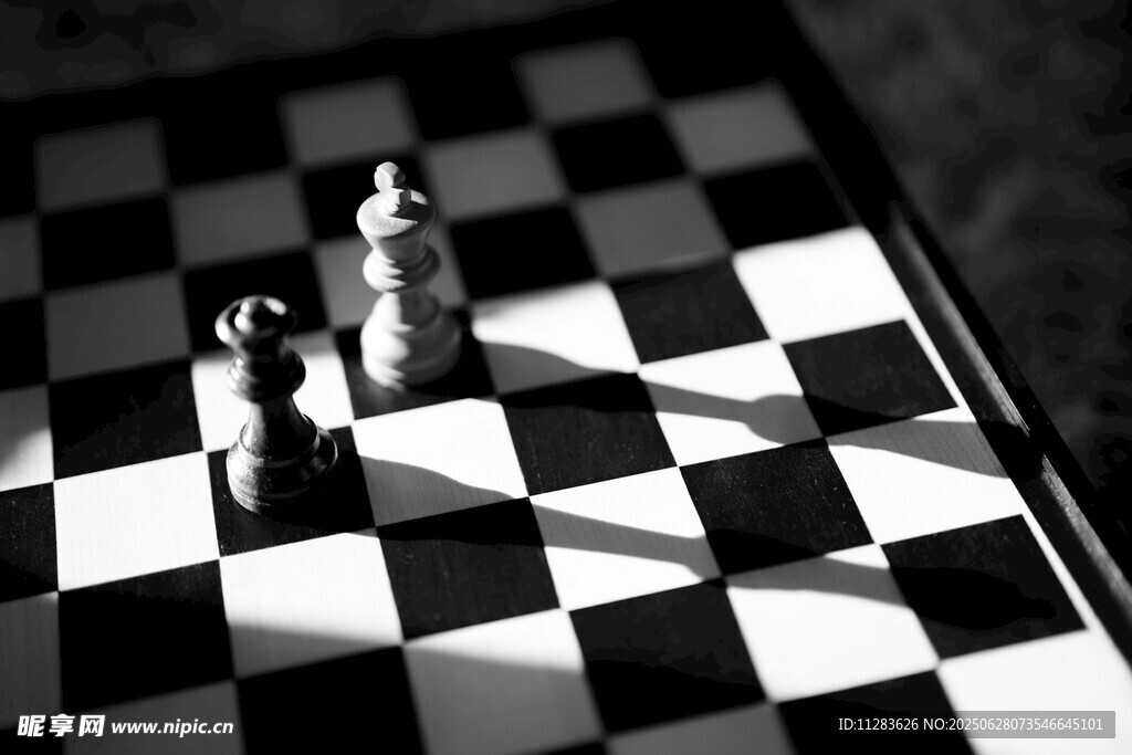黑白棋盘上的棋子对决