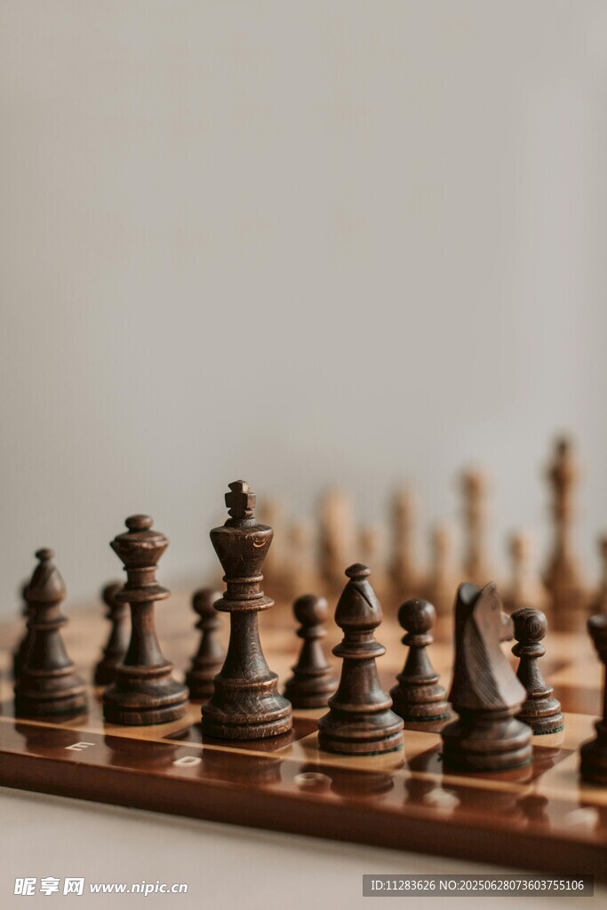 棋盘上的精致棋子