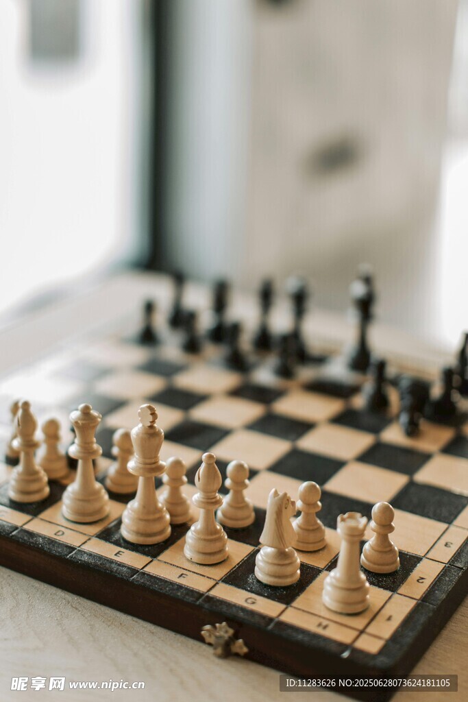国际象棋棋盘上的棋子