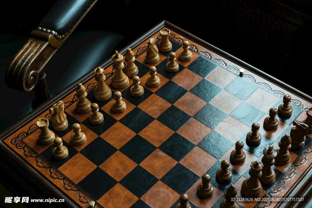 棋盘上的棋子