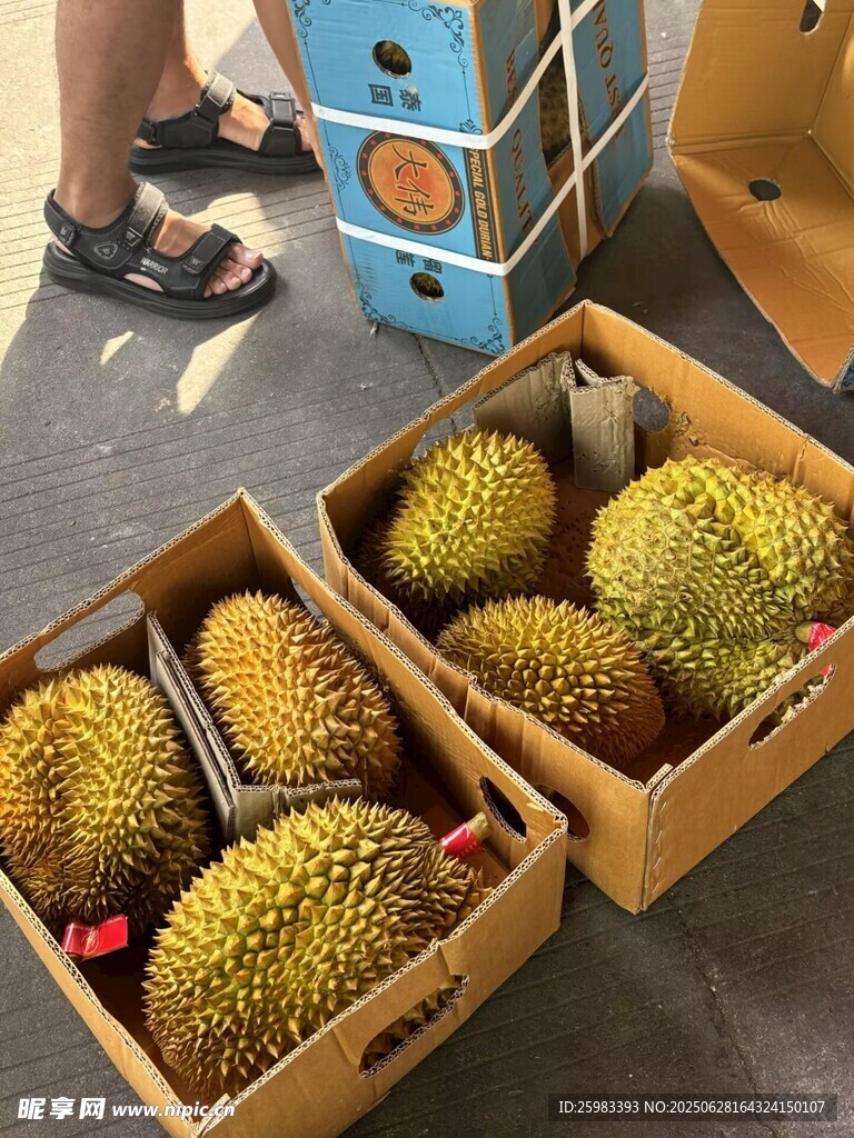 榴莲