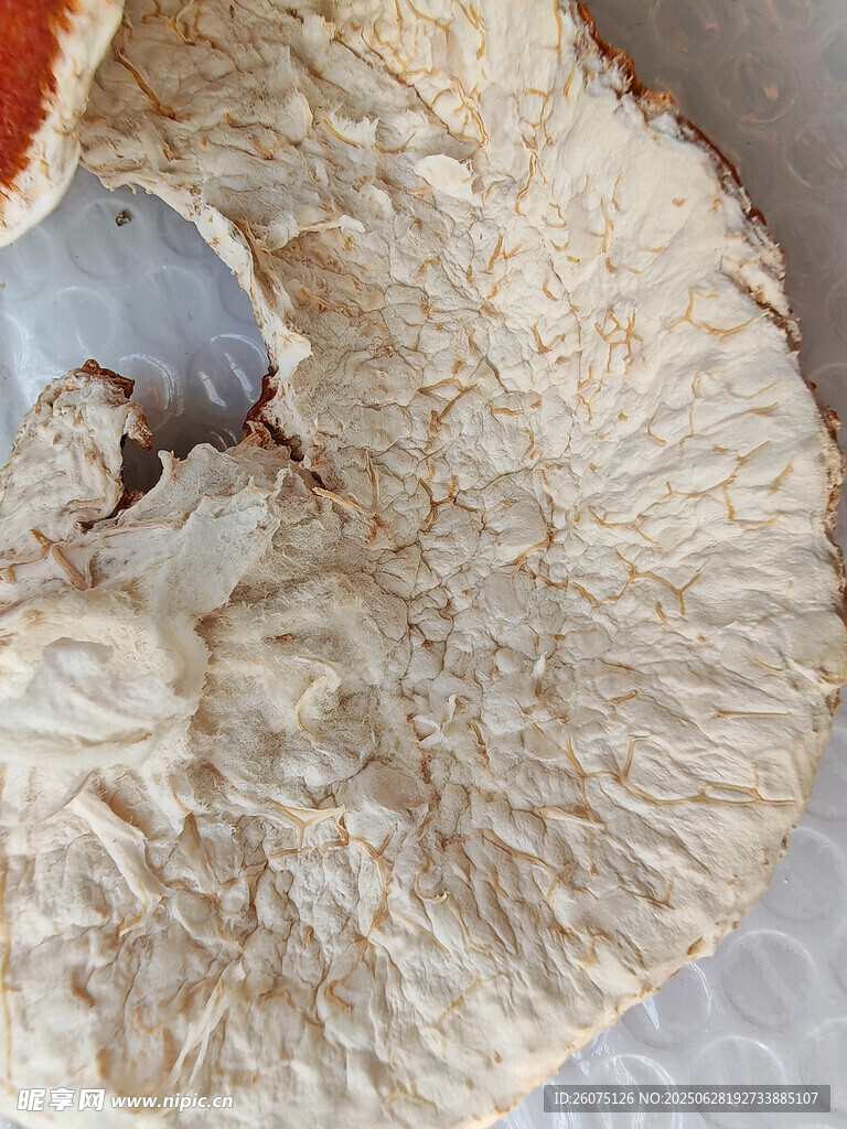 干陈皮特写