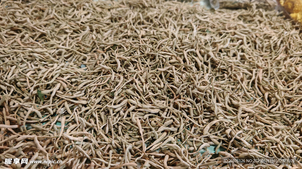 堆积的金银花