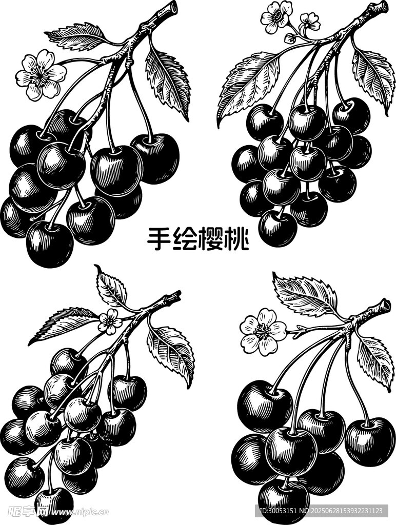 手绘樱桃图案