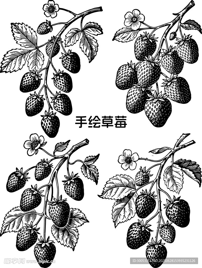 手绘草莓
