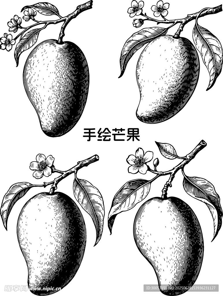 手绘芒果图案