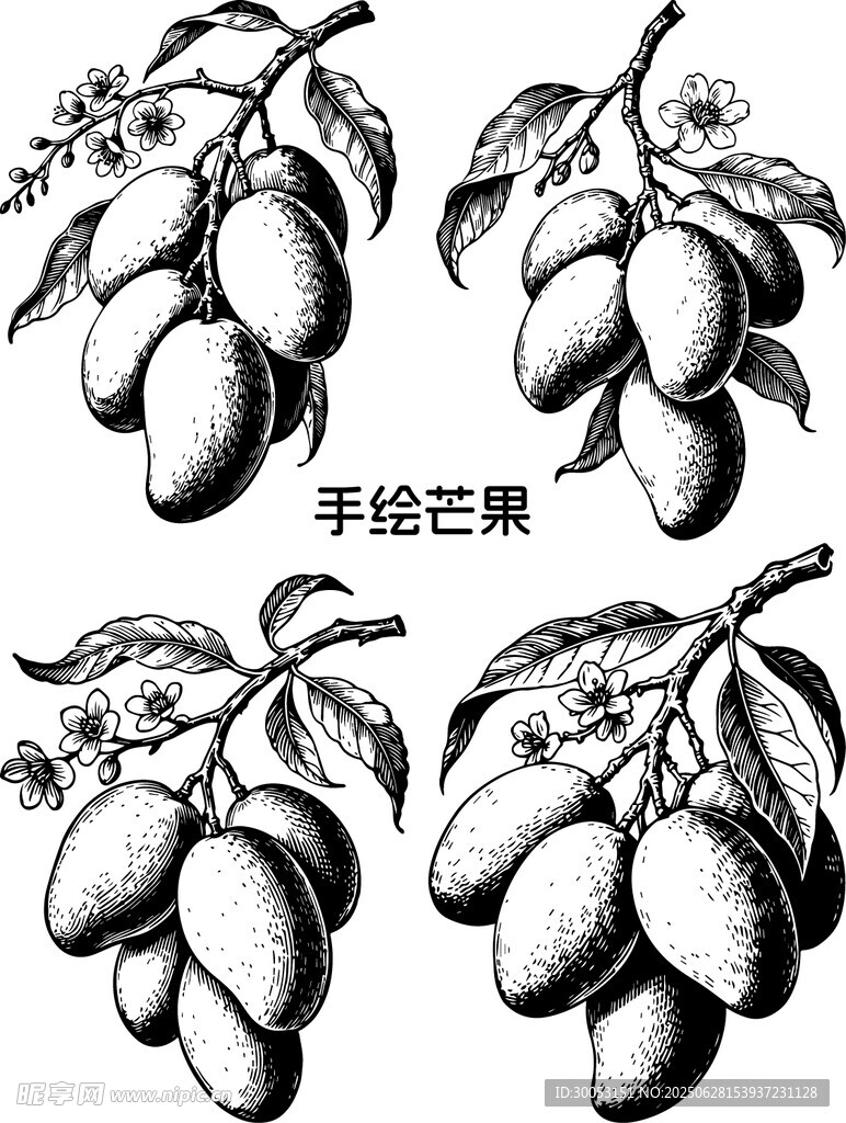 手绘芒果图案