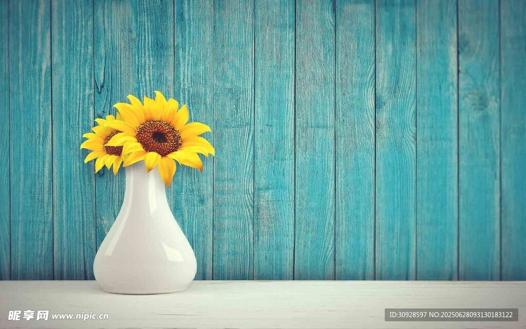 蓝墙白瓶中的向日葵
