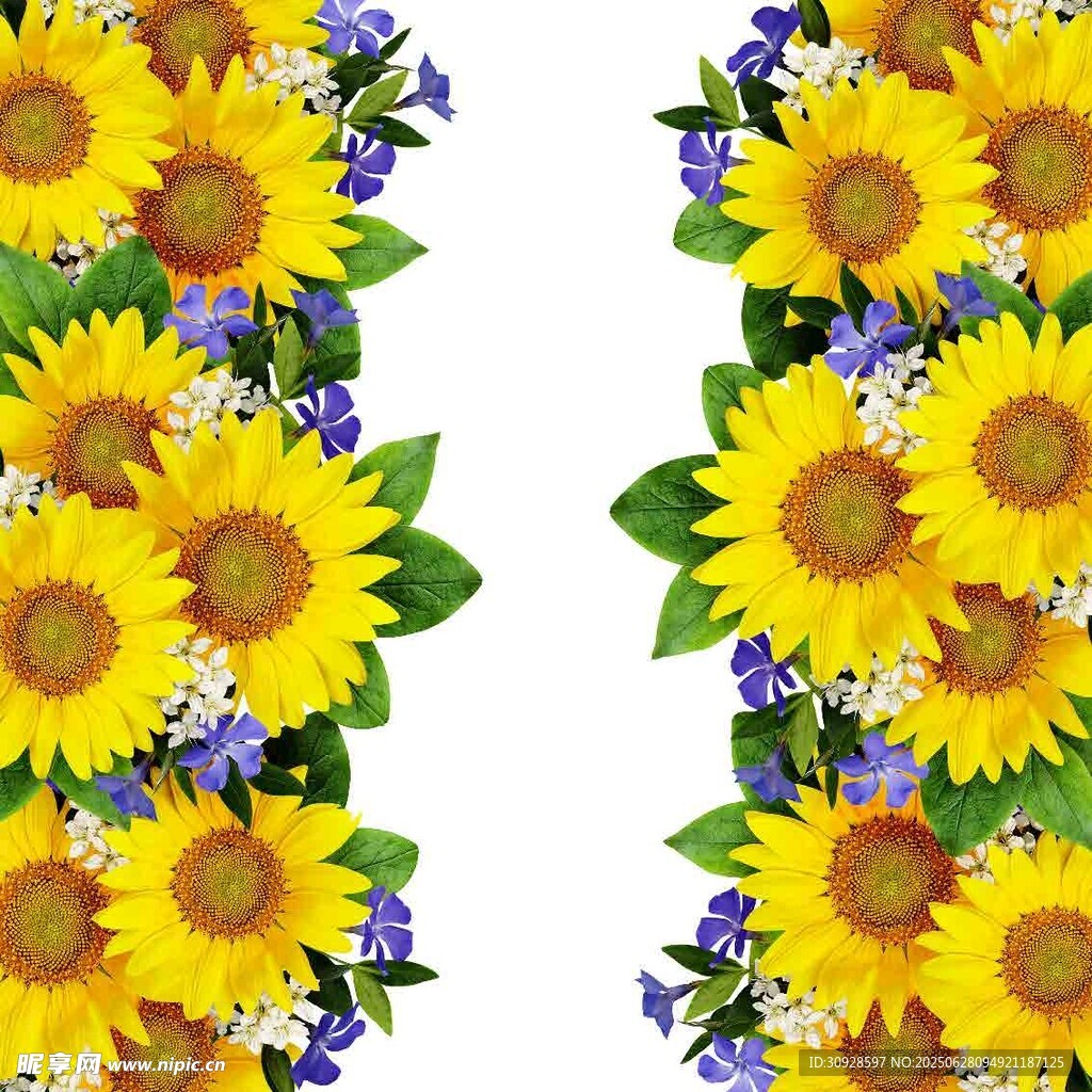 向日葵花卉图案设计