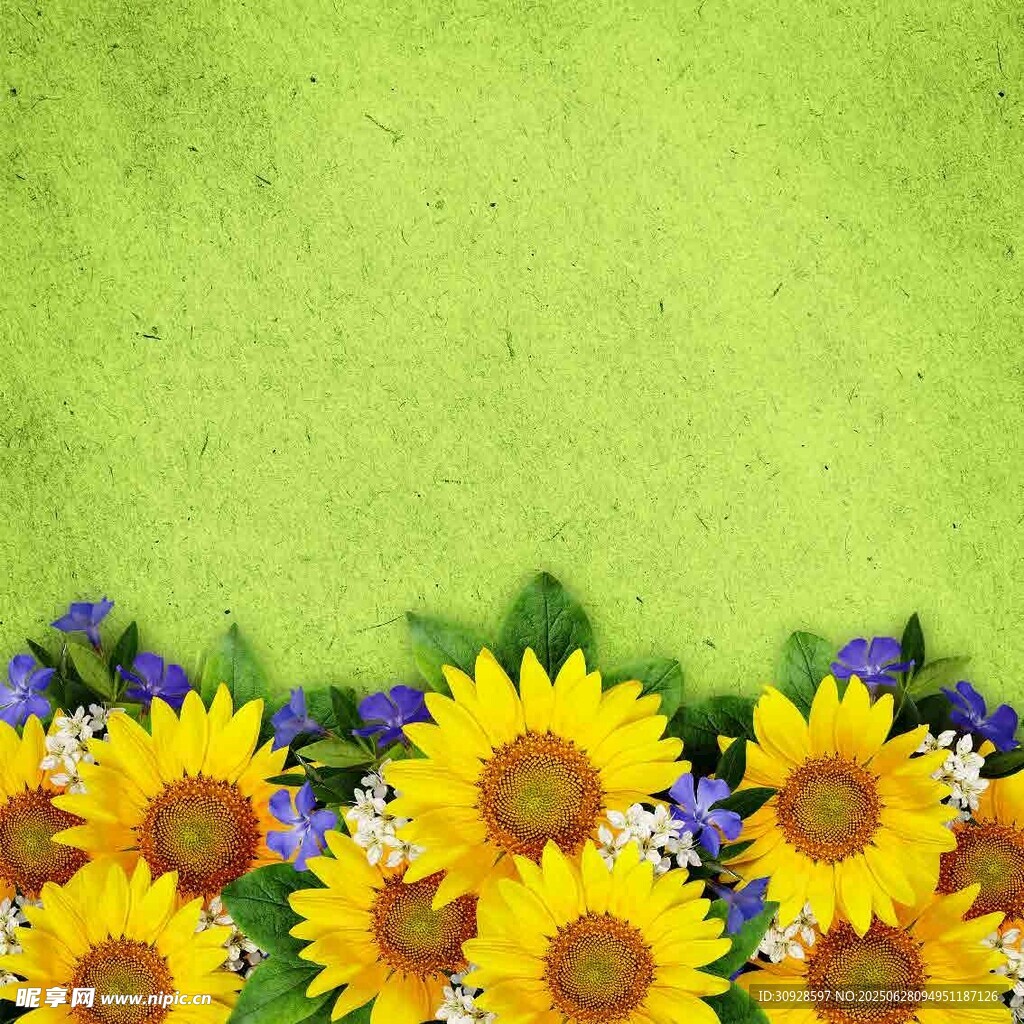 绿色背景上的向日葵与小花