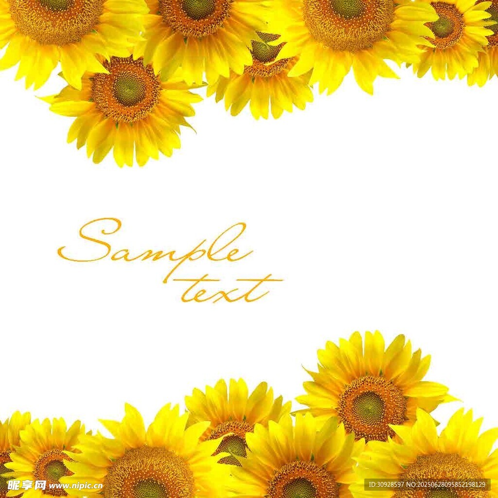 向日葵边框背景图