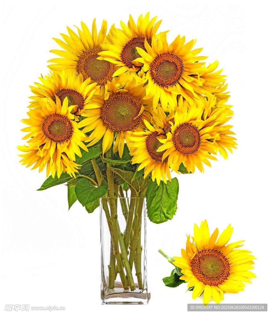 花瓶中的向日葵插花