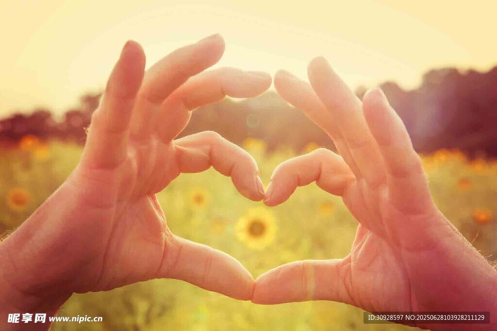 双手比心于灿烂花田