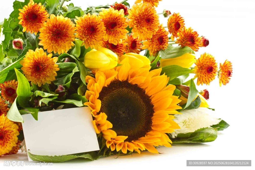 鲜艳向日葵花束
