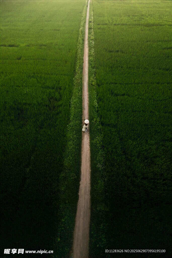 田野中的公路与行驶车辆