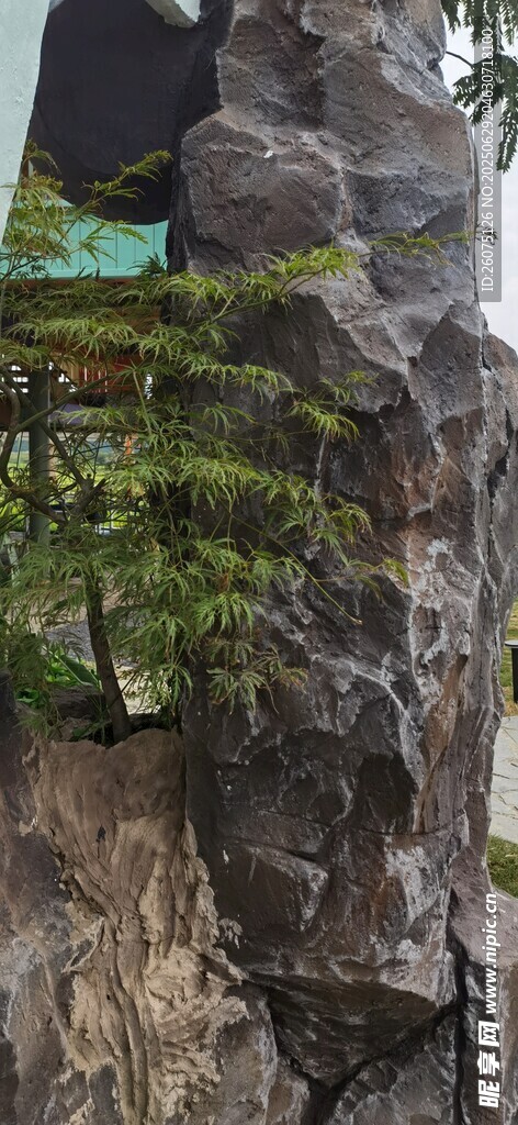 陡峭山崖边的绿植景观