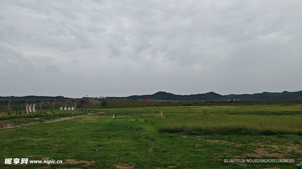 田野风光