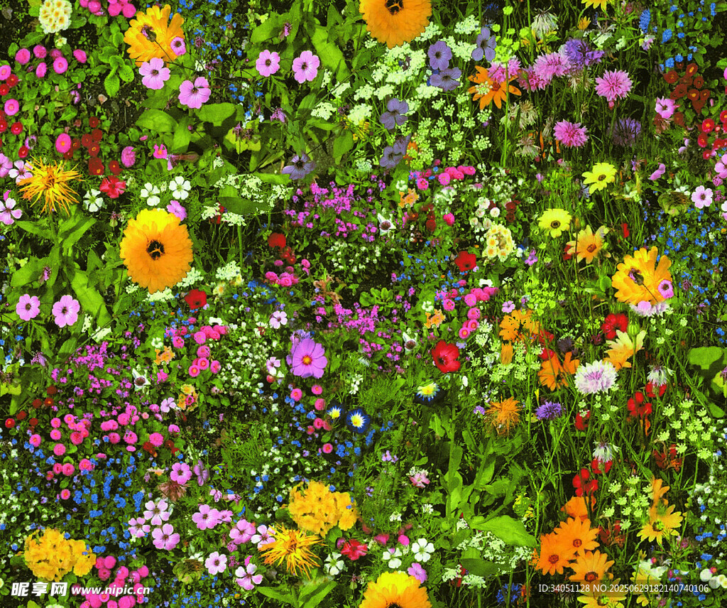 缤纷多彩的花卉景观